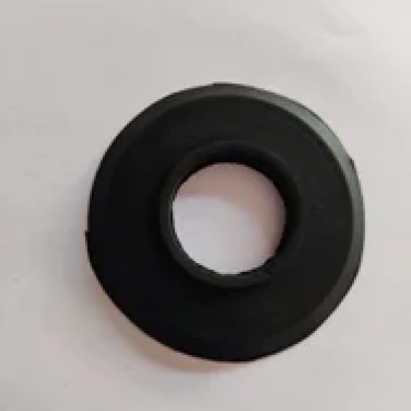 OIL SEAL (10X21X10-646)